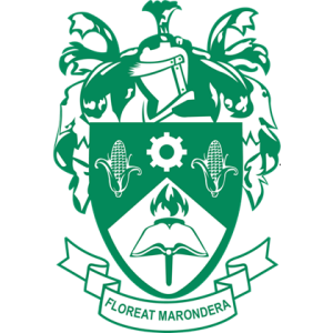 Accountant Revenue Marondera